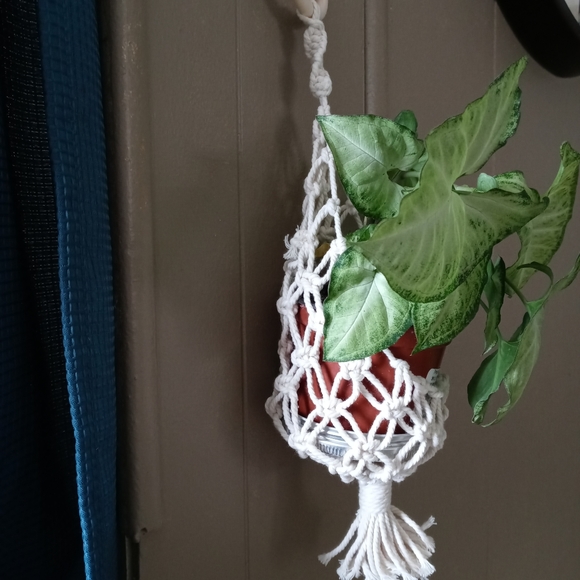 Small Macrame Plant basket - Picture 2 of 3
